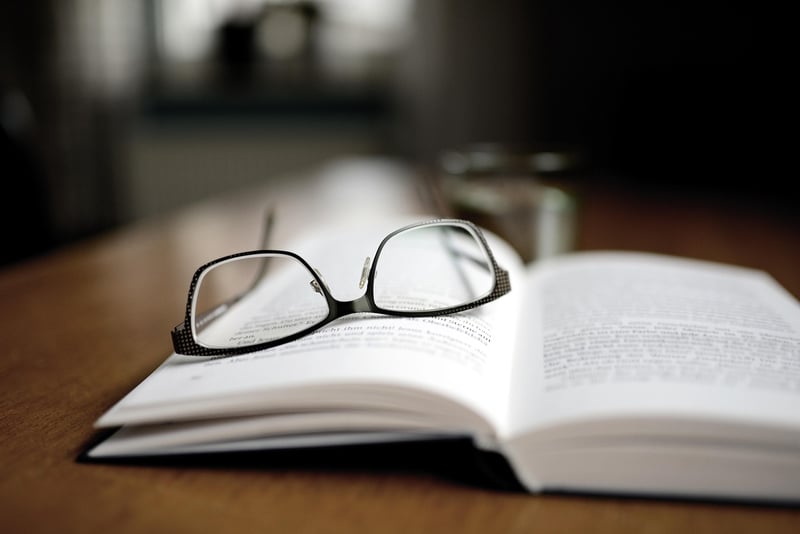 The Time Traveler's Wife Book